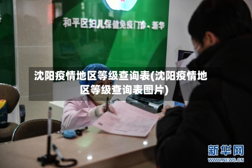 沈阳疫情地区等级查询表(沈阳疫情地区等级查询表图片)-第3张图片