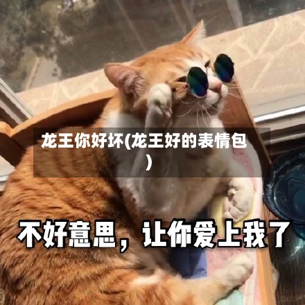 龙王你好坏(龙王好的表情包)-第1张图片