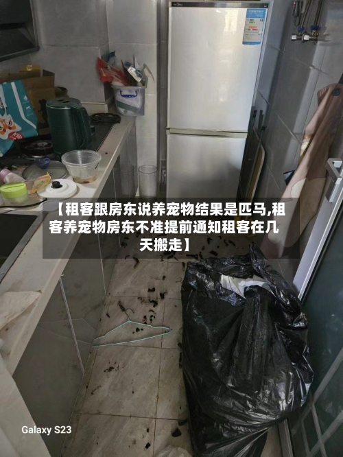 【租客跟房东说养宠物结果是匹马,租客养宠物房东不准提前通知租客在几天搬走】-第2张图片