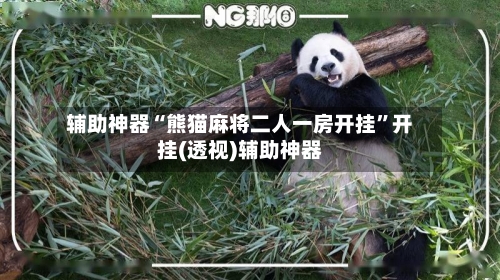 辅助神器“熊猫麻将二人一房开挂	”开挂(透视)辅助神器-第1张图片