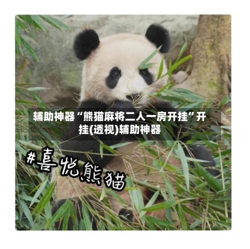 辅助神器“熊猫麻将二人一房开挂”开挂(透视)辅助神器-第3张图片