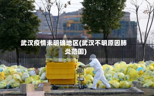 武汉疫情未明确地区(武汉不明原因肺炎范围)-第2张图片