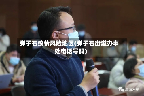 弹子石疫情风险地区(弹子石街道办事处电话号码)-第2张图片