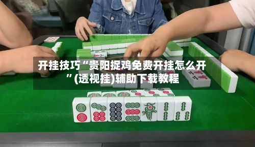 开挂技巧“贵阳捉鸡免费开挂怎么开”(透视挂)辅助下载教程-第3张图片