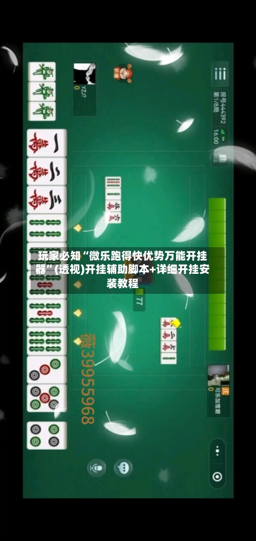 玩家必知“微乐跑得快优势万能开挂器	”(透视)开挂辅助脚本+详细开挂安装教程-第2张图片
