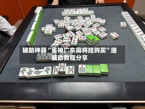 辅助神器“雀神广东麻将挂购买”细辅助教程分享-第3张图片
