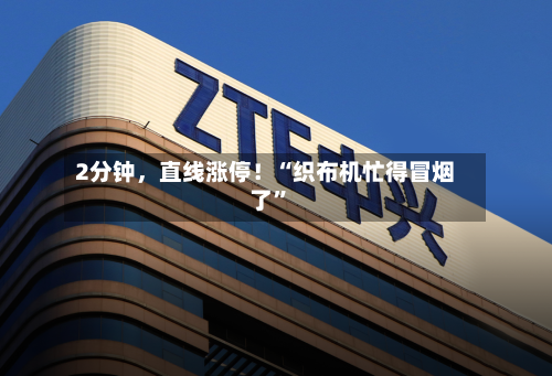 2分钟，直线涨停！“织布机忙得冒烟了	”-第1张图片
