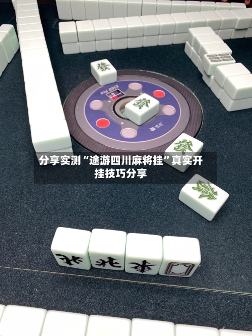分享实测“途游四川麻将挂”真实开挂技巧分享-第3张图片