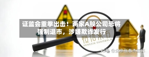 证监会重拳出击！两家A股公司恐将强制退市	，涉嫌欺诈发行-第3张图片