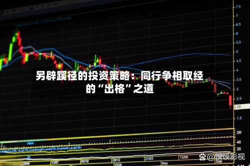 另辟蹊径的投资策略：同行争相取经的“出格”之道-第1张图片