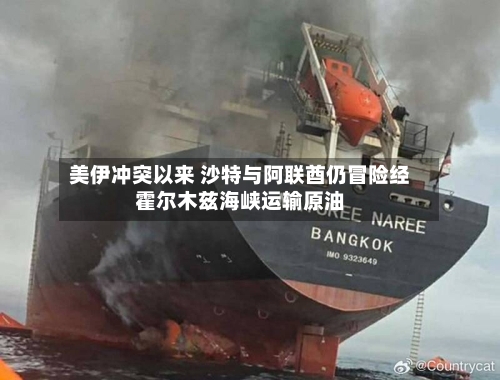 美伊冲突以来 沙特与阿联酋仍冒险经霍尔木兹海峡运输原油-第3张图片