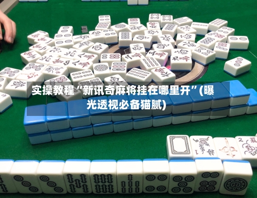 实操教程“新讯奇麻将挂在哪里开”(曝光透视必备猫腻)-第2张图片
