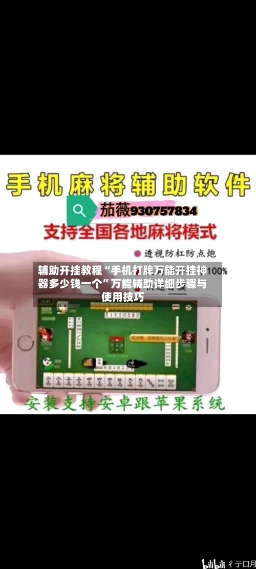 辅助开挂教程“手机打牌万能开挂神器多少钱一个”万能辅助详细步骤与使用技巧-第3张图片