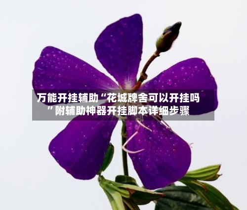 万能开挂辅助“花城牌舍可以开挂吗”附辅助神器开挂脚本详细步骤-第2张图片