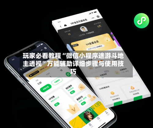 玩家必看教程“微信小程序途游斗地主透视	”万能辅助详细步骤与使用技巧-第1张图片