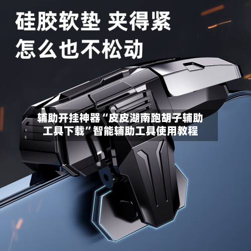辅助开挂神器“皮皮湖南跑胡子辅助工具下载”智能辅助工具使用教程-第1张图片
