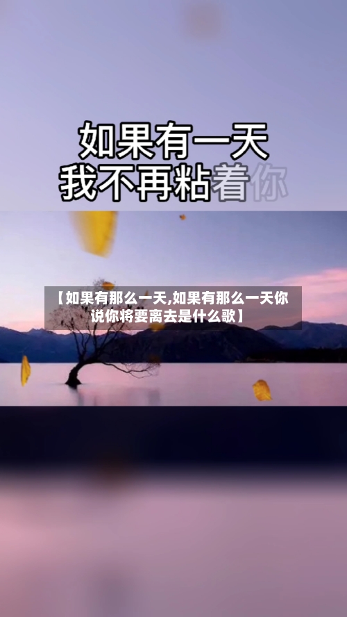 【如果有那么一天,如果有那么一天你说你将要离去是什么歌】-第2张图片