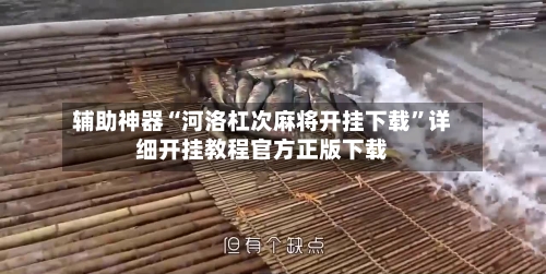 辅助神器“河洛杠次麻将开挂下载	”详细开挂教程官方正版下载-第1张图片