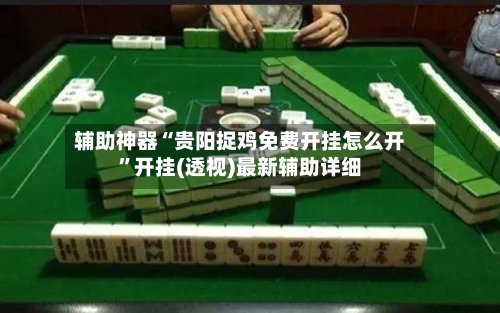 辅助神器“贵阳捉鸡免费开挂怎么开”开挂(透视)最新辅助详细-第2张图片