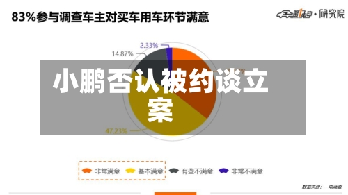 小鹏否认被约谈立案-第2张图片
