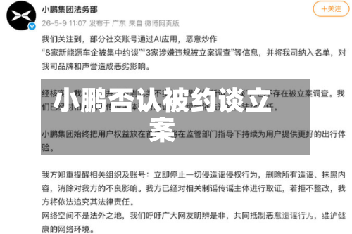 小鹏否认被约谈立案-第3张图片