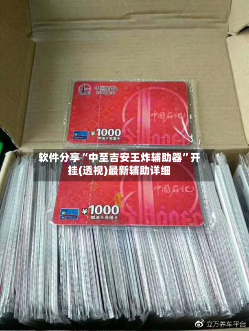 软件分享“中至吉安王炸辅助器	”开挂(透视)最新辅助详细-第2张图片
