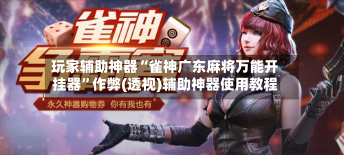 玩家辅助神器“雀神广东麻将万能开挂器”作弊(透视)辅助神器使用教程-第3张图片