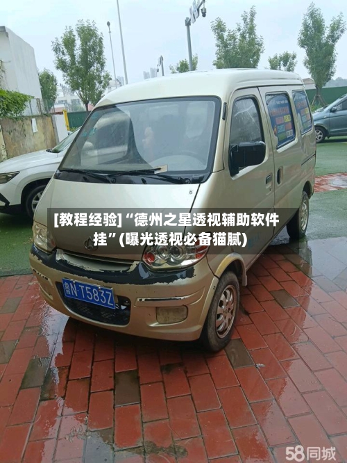 [教程经验]“德州之星透视辅助软件挂	”(曝光透视必备猫腻)-第2张图片