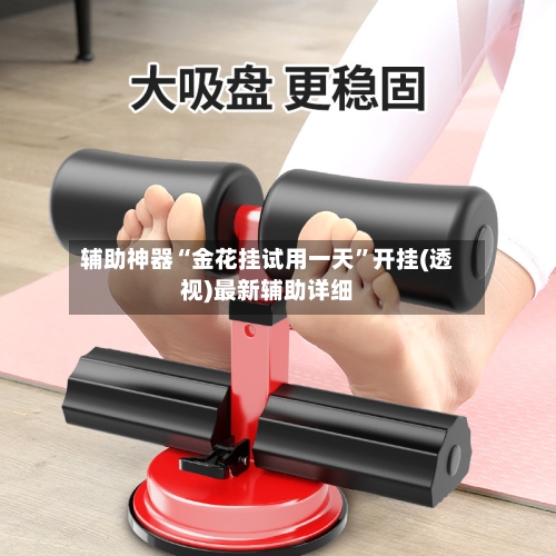 辅助神器“金花挂试用一天”开挂(透视)最新辅助详细-第1张图片