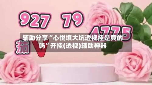 辅助分享“心悦填大坑透视挂是真的吗	”开挂(透视)辅助神器-第1张图片