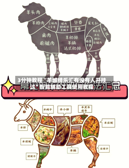 3分钟教程“羊城牌乐汇有没有人开挂过”智能辅助工具使用教程-第1张图片