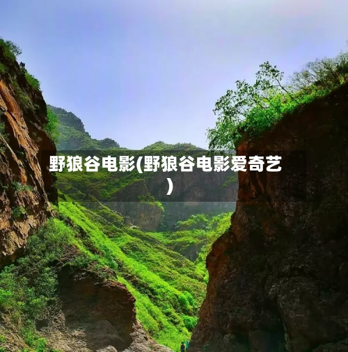 野狼谷电影(野狼谷电影爱奇艺)-第1张图片