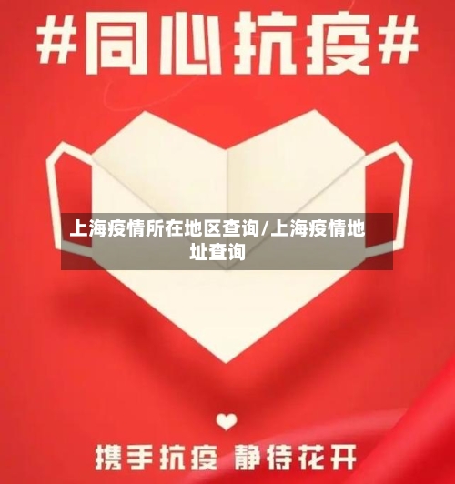 上海疫情所在地区查询/上海疫情地址查询-第1张图片