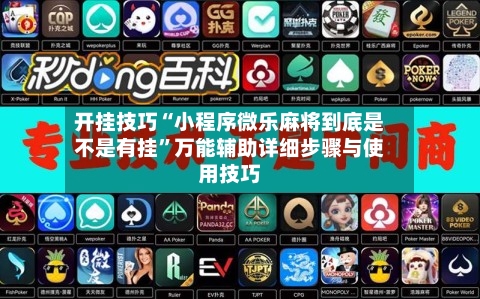 开挂技巧“小程序微乐麻将到底是不是有挂	”万能辅助详细步骤与使用技巧-第2张图片