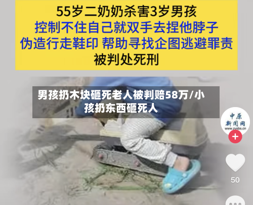 男孩扔木块砸死老人被判赔58万/小孩扔东西砸死人-第1张图片