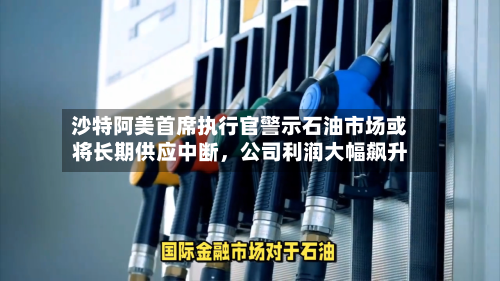 沙特阿美首席执行官警示石油市场或将长期供应中断	，公司利润大幅飙升-第3张图片
