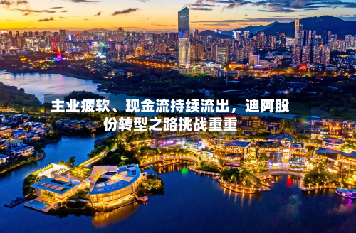 主业疲软	、现金流持续流出，迪阿股份转型之路挑战重重-第2张图片
