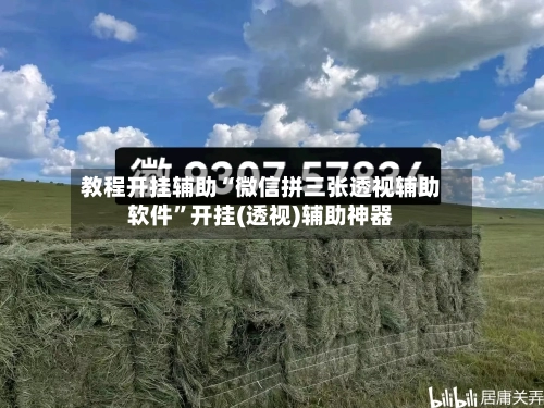 教程开挂辅助“微信拼三张透视辅助软件	”开挂(透视)辅助神器-第1张图片