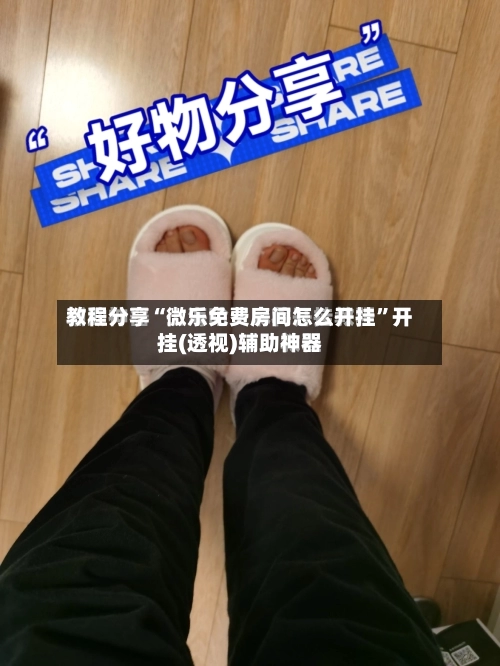 教程分享“微乐免费房间怎么开挂”开挂(透视)辅助神器-第2张图片