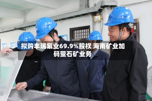 拟购丰瑞氟业69.9%股权 海南矿业加码萤石矿业务-第1张图片