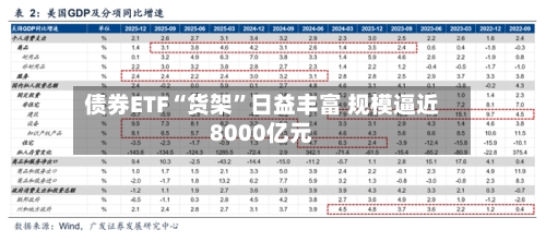 债券ETF“货架”日益丰富 规模逼近8000亿元-第2张图片