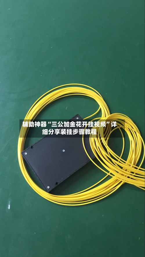 辅助神器“三公加金花开挂视频”详细分享装挂步骤教程-第1张图片