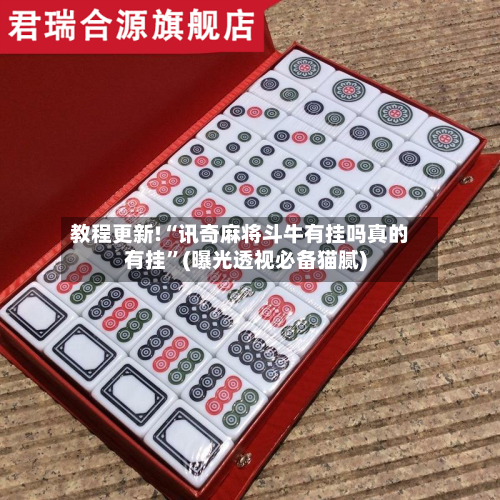 教程更新!“讯奇麻将斗牛有挂吗真的有挂”(曝光透视必备猫腻)-第3张图片