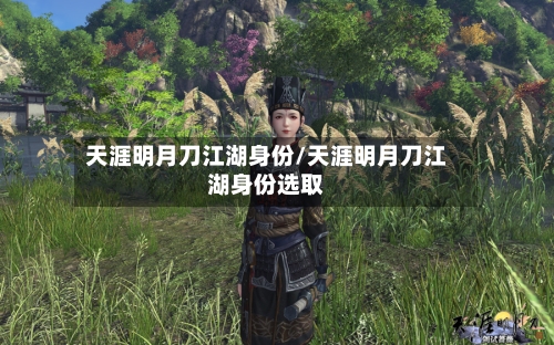 天涯明月刀江湖身份/天涯明月刀江湖身份选取-第3张图片