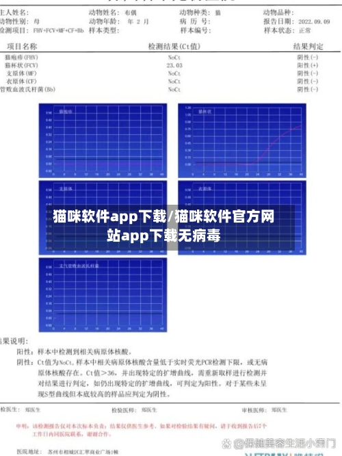 猫咪软件app下载/猫咪软件官方网站app下载无病毒-第1张图片