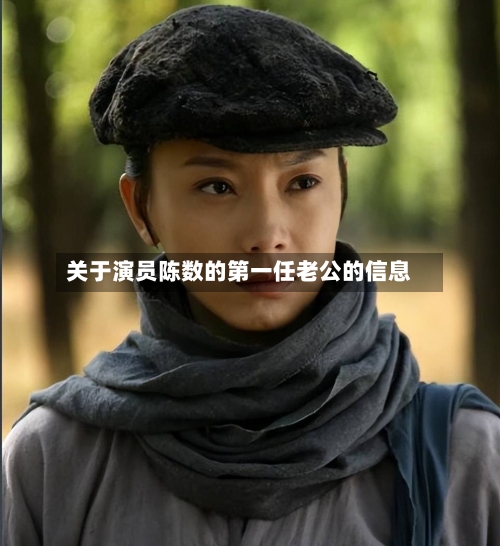 关于演员陈数的第一任老公的信息-第2张图片