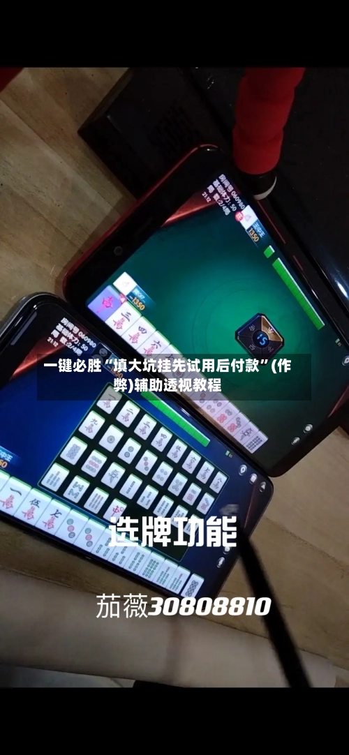 一键必胜“填大坑挂先试用后付款	”(作弊)辅助透视教程-第2张图片