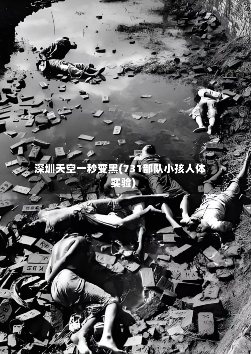 深圳天空一秒变黑(731部队小孩人体实验)-第1张图片