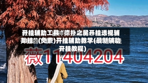 开挂辅助工具“德扑之星开挂透视辅助挂	”(免费)开挂辅助教学(最新辅助开挂教程)-第2张图片