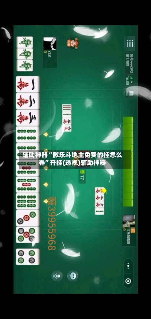 辅助神器“微乐斗地主免费的挂怎么弄”开挂(透视)辅助神器-第3张图片
